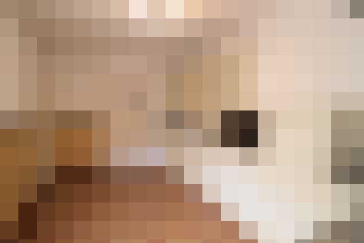  / #13