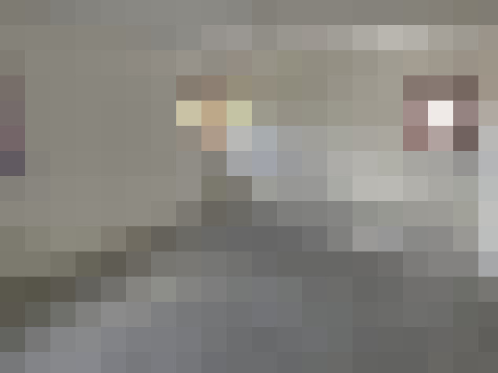  / #8