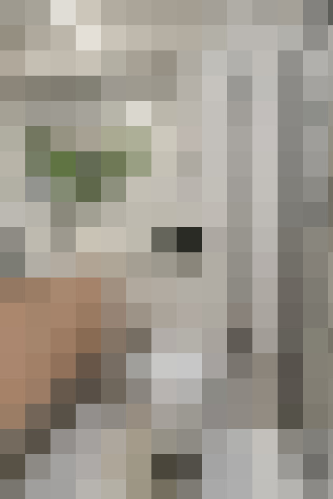  / #18