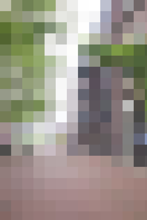  / #16