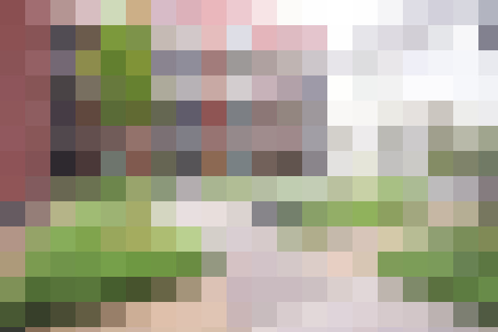  / #18
