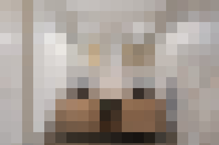  / #20