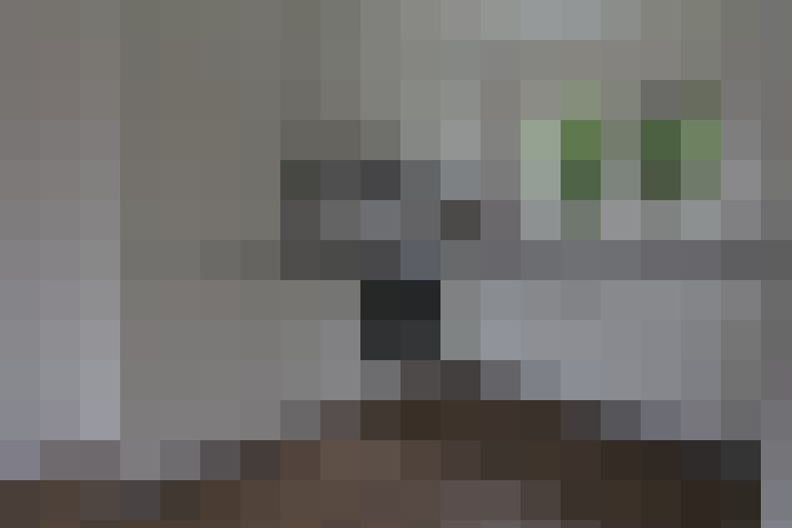  / #10