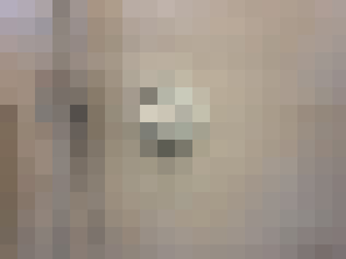  / #16