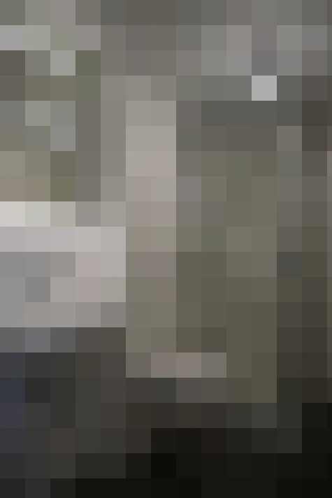  / #19