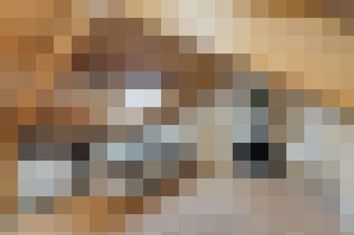  / #19