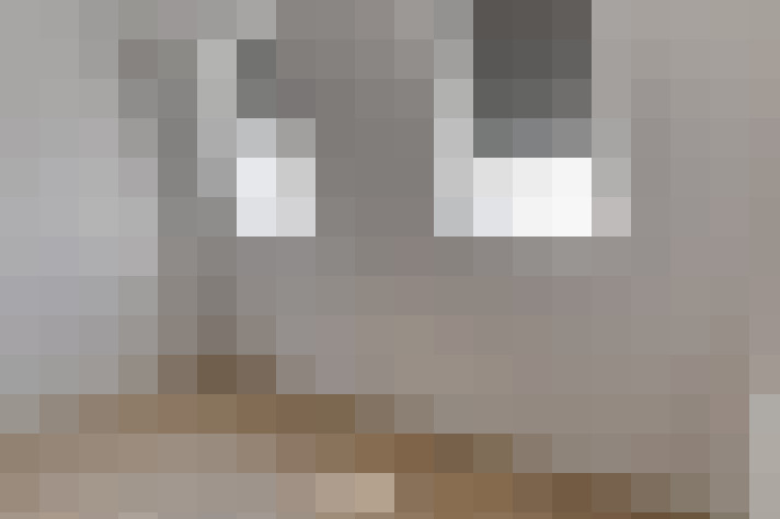  / #18