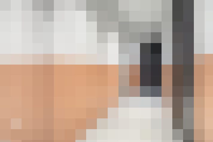  / #15