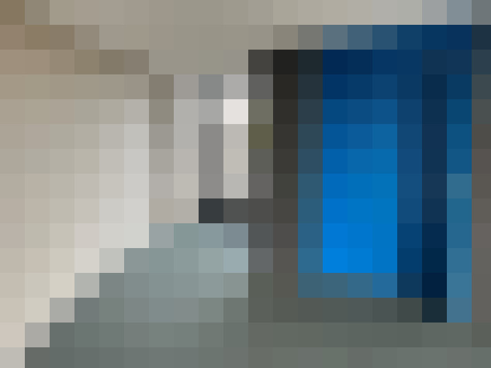  / #14