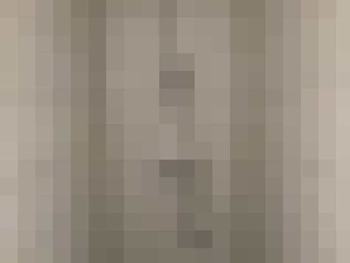  / #6