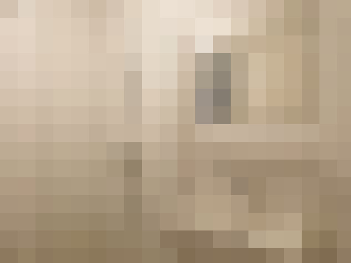  / #15