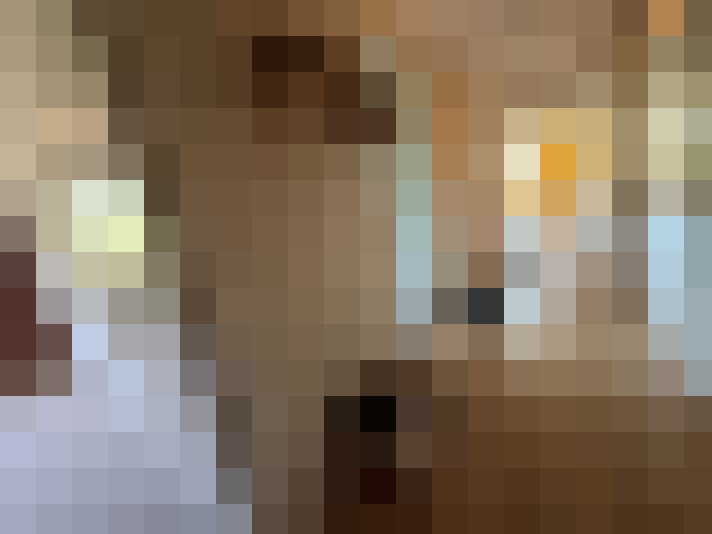  / #14