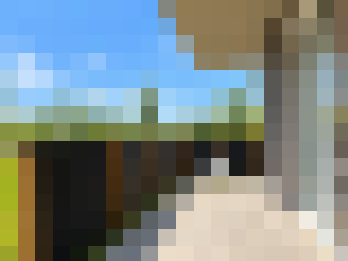  / #11