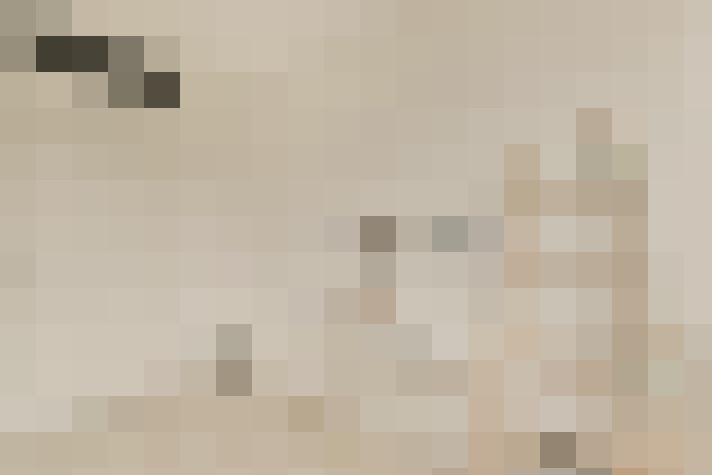  / #20