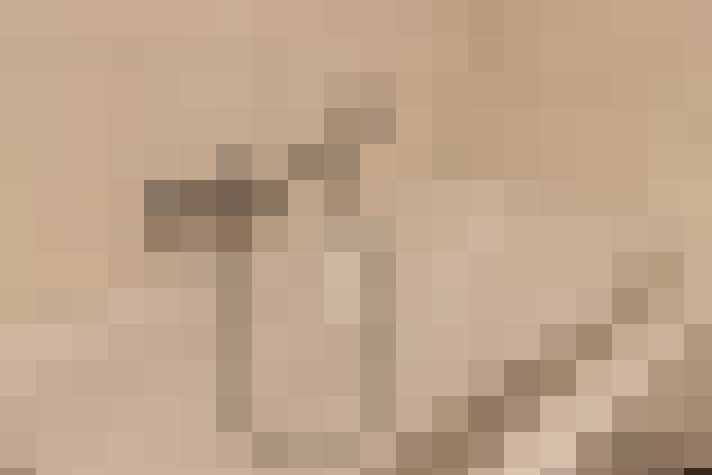  / #20
