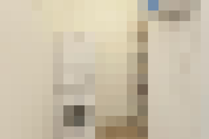  / #24