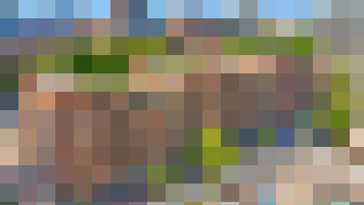  / #12