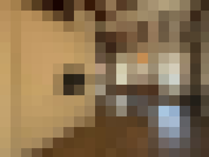  / #15