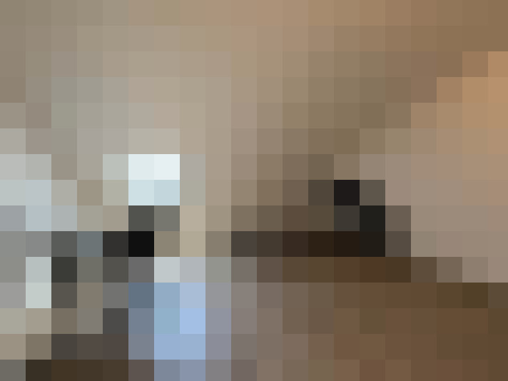  / #23