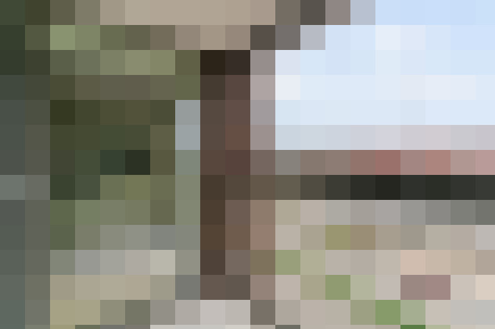  / #15
