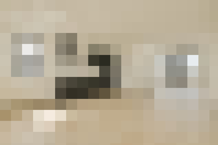  / #12
