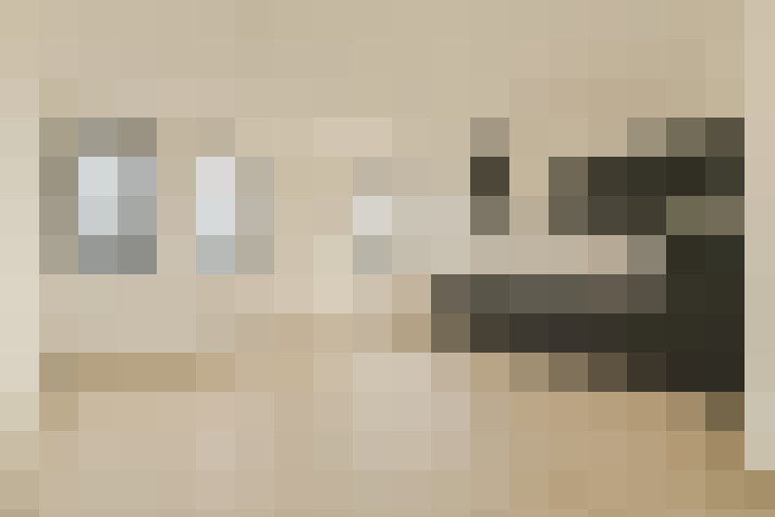  / #11