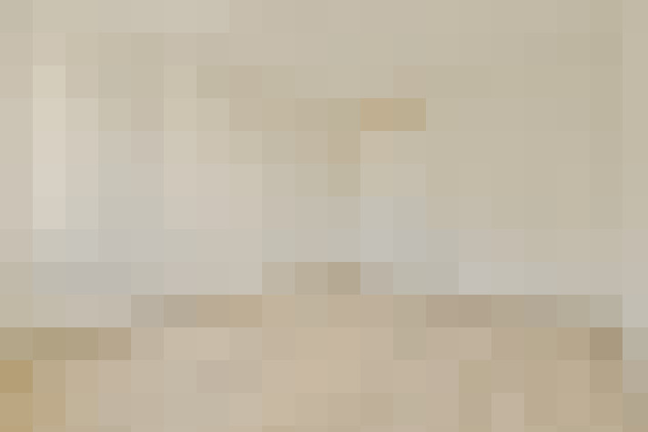  / #23