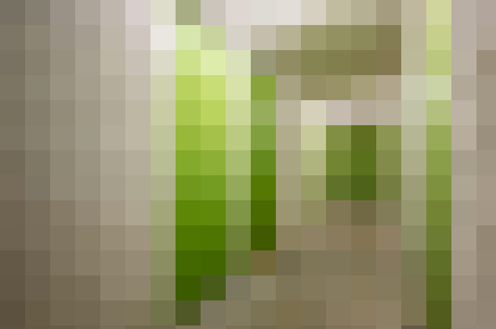  / #11