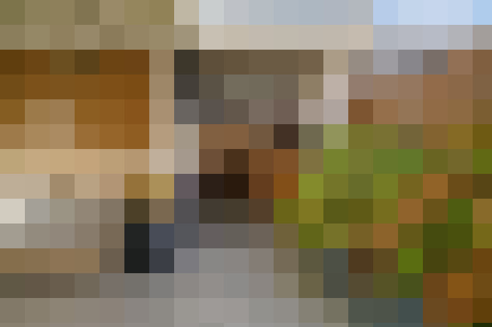  / #17