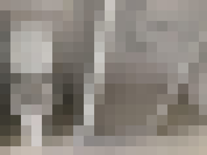  / #17