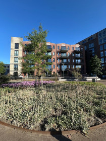 Appartement in Bergen op Zoom