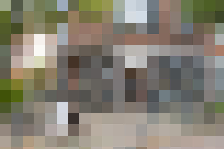  / #15
