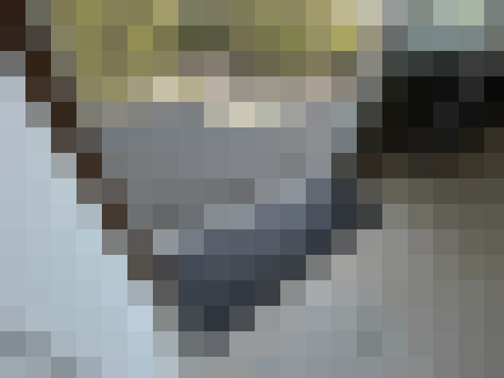  / #20