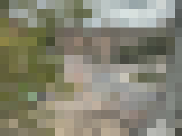 / #7
