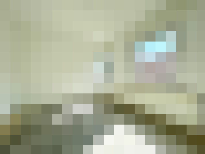  / #15