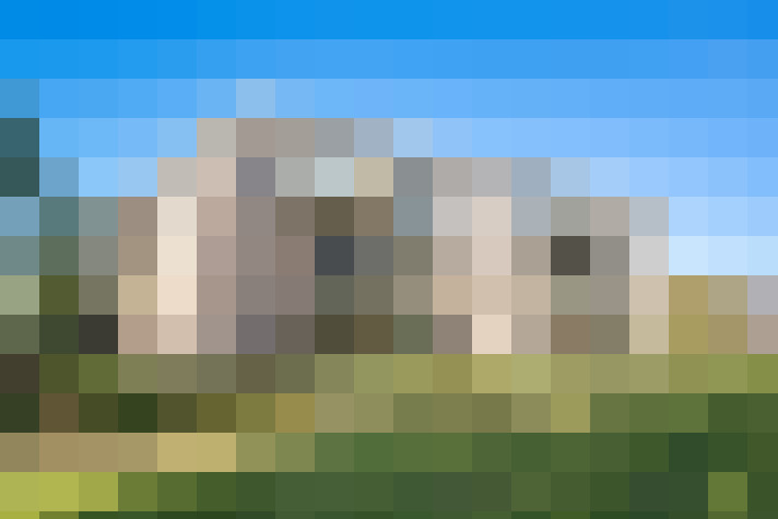  / #13