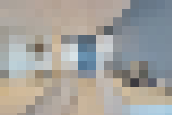  / #20