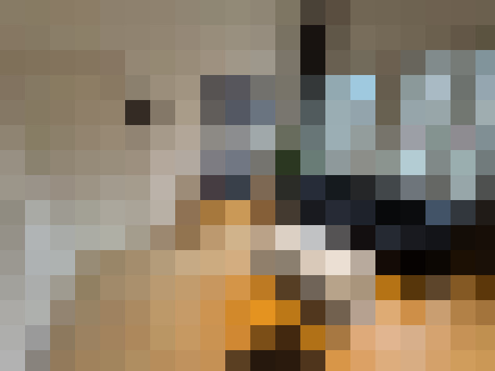 / #15