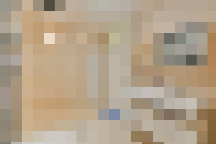  / #19
