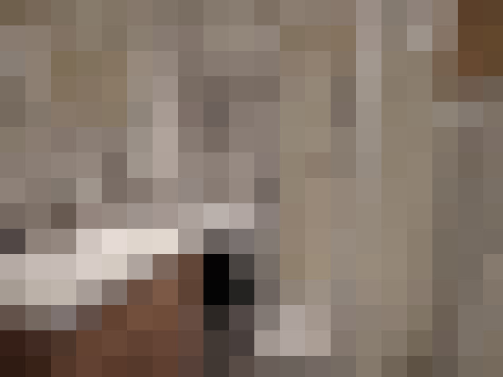  / #8