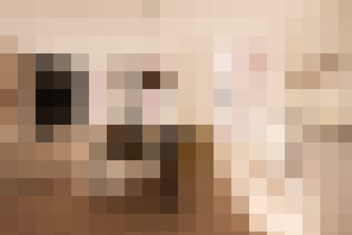  / #19