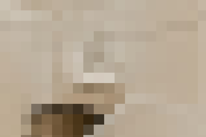  / #18