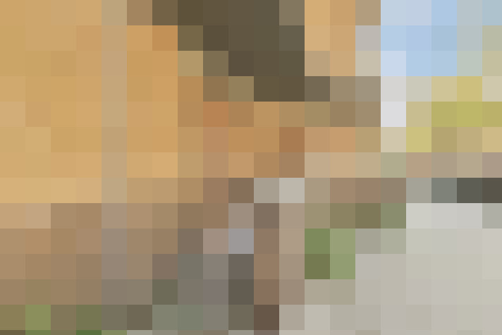  / #7