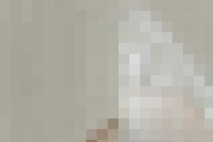  / #22