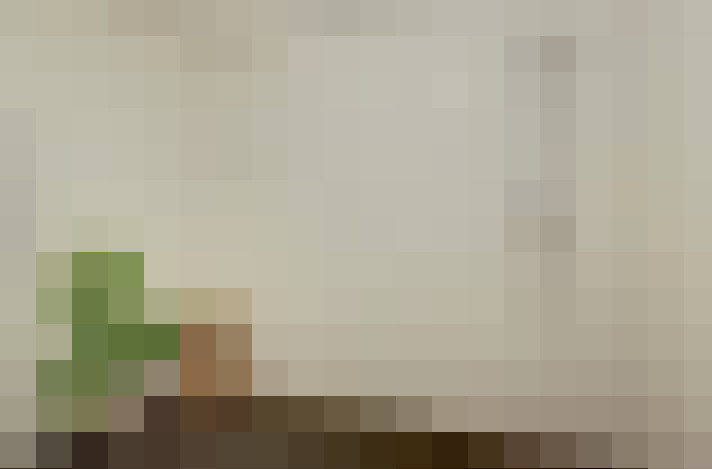  / #20