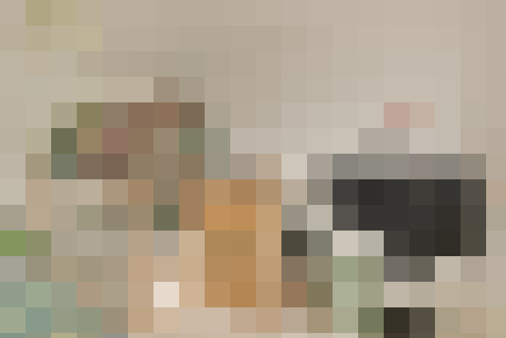  / #16