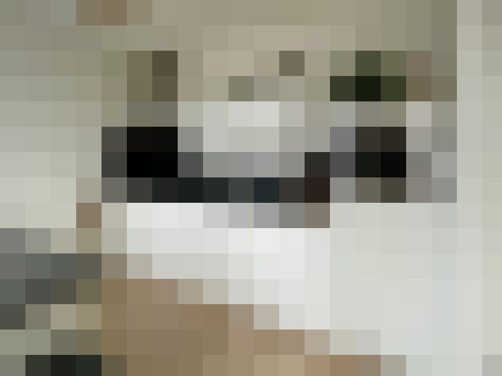  / #6