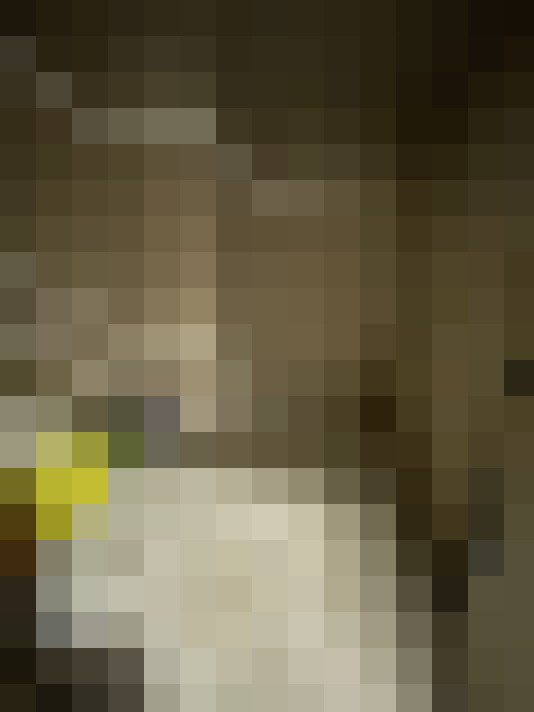  / #21