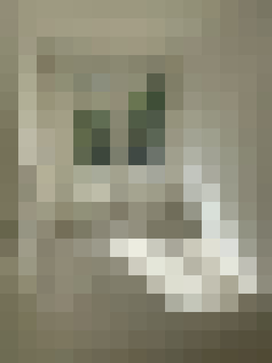  / #15
