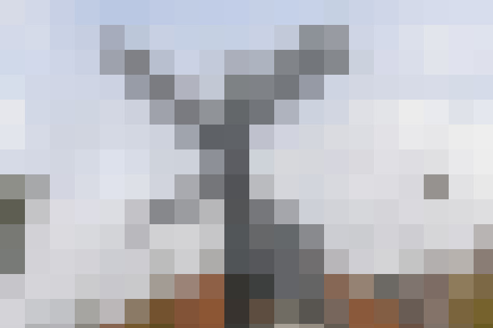  / #21